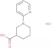 1-(Pyridin-2-yl)piperidine-3-carboxylic acid hydrochloride