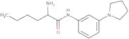2-Amino-N-[3-(pyrrolidin-1-yl)phenyl]hexanamide