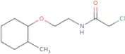 2-Chloro-N-{2-[(2-methylcyclohexyl)oxy]ethyl}acetamide