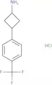 3-[4-(Trifluoromethyl)phenyl]cyclobutan-1-amine hydrochloride