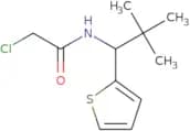 2-Chloro-N-[2,2-dimethyl-1-(thiophen-2-yl)propyl]acetamide