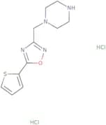 1-{[5-(Thiophen-2-yl)-1,2,4-oxadiazol-3-yl]methyl}piperazine dihydrochloride