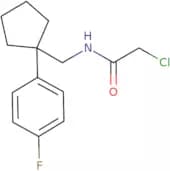 2-Chloro-N-{[1-(4-fluorophenyl)cyclopentyl]methyl}acetamide