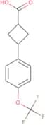 3-[4-(Trifluoromethoxy)phenyl]cyclobutane-1-carboxylic acid