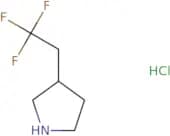 3-(2,2,2-Trifluoroethyl)pyrrolidine hydrochloride