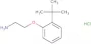 1-(2-Aminoethoxy)-2-tert-butylbenzene hydrochloride
