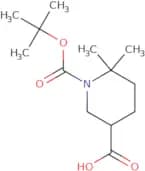 1-[(tert-Butoxy)carbonyl]-6,6-dimethylpiperidine-3-carboxylic acid
