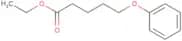 Ethyl 5-phenoxypentanoate