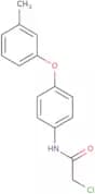 2-Chloro-N-[4-(3-methylphenoxy)phenyl]acetamide