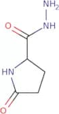 5-Oxopyrrolidine-2-carbohydrazide