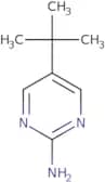 2-Amino-5-(tert-butyl)pyrimidine