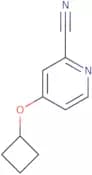 4-Cyclobutoxypyridine-2-carbonitrile