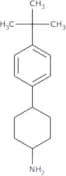 4-(4-tert-Butylphenyl)cyclohexan-1-amine