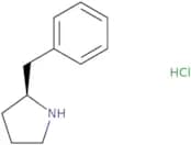 (S)-2-Benzylpyrrolidine Hydrochloride