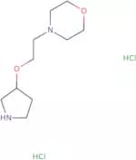 4-[2-(Pyrrolidin-3-yloxy)ethyl]morpholine dihydrochloride