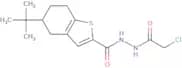 5-tert-Butyl-N'-(2-chloroacetyl)-4,5,6,7-tetrahydro-1-benzothiophene-2-carbohydrazide
