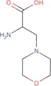 (R)-2-Amino-3-morpholinopropanoic acid