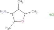 2,4,5-Trimethyloxolan-3-amine hydrochloride