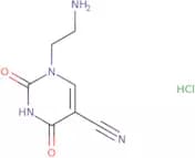 1-(2-Aminoethyl)-2,4-dioxo-1,2,3,4-tetrahydropyrimidine-5-carbonitrile hydrochloride