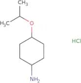 4-(Propan-2-yloxy)cyclohexan-1-amine hydrochloride