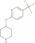 2-(Piperidin-4-yloxy)-5-(trifluoromethyl)pyridine