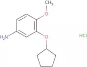 3-(Cyclopentyloxy)-4-methoxyaniline hydrochloride