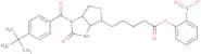N1-(4-(t-Butyl)benzoyl)-D-(+)biotin 2-nitrophenyl ester