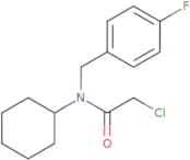 2-Chloro-N-cyclohexyl-N-[(4-fluorophenyl)methyl]acetamide