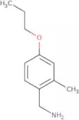 (2-Methyl-4-propoxyphenyl)methanamine
