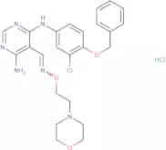 JNJ 28871063 hydrochloride