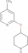 4-Methyl-2-(piperidin-4-yloxy)pyridine