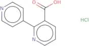 2-(Pyridin-4-yl)pyridine-3-carboxylic acid hydrochloride