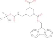 5-({[(tert-Butoxy)carbonyl]amino}methyl)-1-[(9H-fluoren-9-ylmethoxy)carbonyl]piperidine-3-carboxyl…