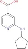 2-(Cyclopentylamino)isonicotinic acid