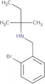 [(2-Bromophenyl)methyl](2-methylbutan-2-yl)amine