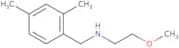 [(2,4-Dimethylphenyl)methyl](2-methoxyethyl)amine