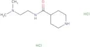 N-[2-(Dimethylamino)ethyl]piperidine-4-carboxamide dihydrochloride