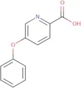 5-Phenoxypyridine-2-carboxylic acid
