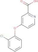 4-(2-Chlorophenoxy)pyridine-2-carboxylic acid