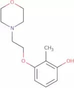 2-Methyl-3-[2-(morpholin-4-yl)ethoxy]phenol