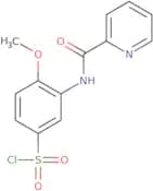 4-Methoxy-3-(pyridine-2-amido)benzene-1-sulfonyl chloride