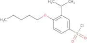 4-(Pentyloxy)-3-(propan-2-yl)benzene-1-sulfonyl chloride