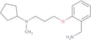 N-{3-[2-(Aminomethyl)phenoxy]propyl}-N-methylcyclopentanamine