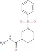 1-(Phenylsulfonyl)piperidine-3-carbohydrazide