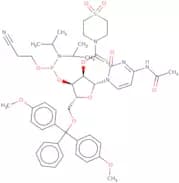 DMT-2′O-TC-rC(ac) Phosphoramidite