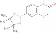 7-(4,4,5,5-Tetramethyl-1,3,2-dioxaborolan-2-yl)-2H-benzo[b][1,4]oxazin-3(4H)-one