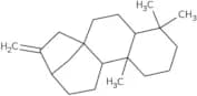 (-)-Phyllocladene