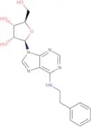 N6-(2-Phenylethyl)adenosine
