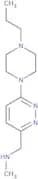 N-Methyl-1-(6-(4-propylpiperazin-1-yl)pyridazin-3-yl)methanamine