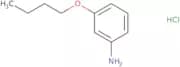 3-Butoxyaniline hydrochloride